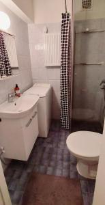 y baño con aseo, lavabo y ducha. en Spacious studio apartment near the center of Joensuu, en Joensuu