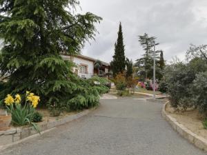 una calle en un parque con árboles y flores en Casa Rural la Amistad, en Burguillos de Toledo