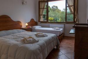 a bedroom with two beds and a large window at Agriturismo De Santis in Castiglioncello
