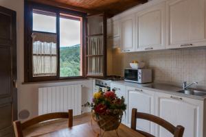 a kitchen with a table with a vase of flowers on it at Agriturismo De Santis in Castiglioncello