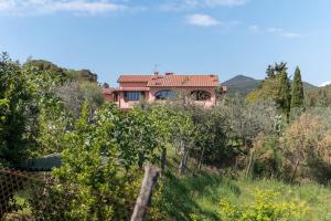 a house on top of a hill with trees at Agriturismo De Santis in Castiglioncello
