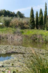 a body of water with plants and trees in a field at Agriturismo De Santis in Castiglioncello