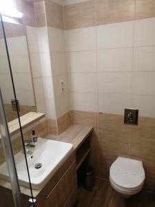 Koupelna v ubytování Zafírgyöngy Apartmanok