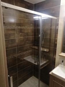 Kúpeľňa v ubytovaní Zafírgyöngy Apartmanok + 9 fotografií
