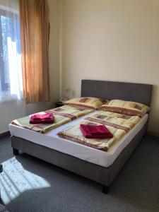 Voodi või voodid majutusasutuse Hotel Holdfény toas
