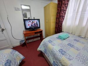 蓬塔阿雷纳斯Hospedaje Familiar的一间卧室配有一张床和一张桌子上的电视
