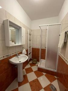 Kúpeľňa v ubytovaní Apartmani Mario Biograd na Moru