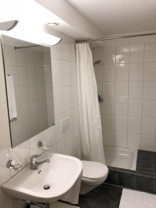 La salle de bains est pourvue d'un lavabo, de toilettes et d'un miroir. dans l'établissement Centrally located, Spacious Modern Apartment, à Zurich