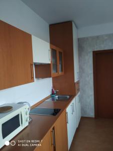 eine Küche mit Holzschränken und einer Mikrowelle in der Unterkunft Penzion Relax Martina in Budweis
