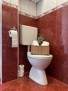 Kúpeľňa v ubytovaní Apartmani Mario Biograd na Moru