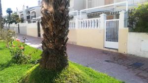 Ogród w obiekcie Bungalow Deluxe Gran Alacant