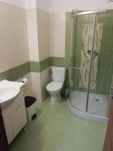 Koupelna v ubytování Vila Wilhelmína