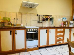 a kitchen with a stove and a counter top at Livada lui Papu in Izvoarele