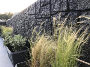 a retaining wall with some plants and grass at Dragonfly Villas in Kamari