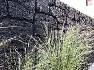 una pared de piedra con hierba alta delante de ella en Dragonfly Villas en Kamari