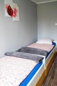Posteľ alebo postele v izbe v ubytovaní Wisienka