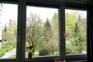 Vonkajšia záhrada v ubytovaní Wisienka