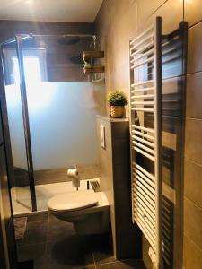 a bathroom with a toilet and a shower at Maison la londe in La Londe-les-Maures +11 photos