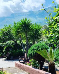 un parco con palme, panchina e montagne di Antica Stabia a Castellammare di Stabia