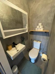 ein Badezimmer mit einer weißen Toilette und einem Waschbecken in der Unterkunft Spacious 3bd top floor flat close to lake (103m²) in Klagenfurt am Wörthersee + 14 Fotos