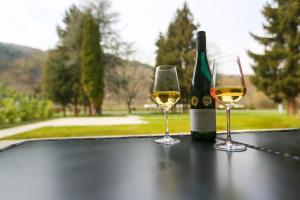 twee wijnglazen en een fles wijn op tafel bij Rieslingresidenz in Traben-Trarbach