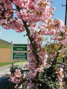Un árbol con flores rosas junto a un cartel de la calle en Ferienwohnung Pichler, en Leibnitz