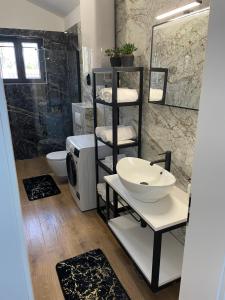 a bathroom with a sink and a toilet and a shower at Casa Giulia with heated pool in Privlaka