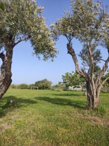 Foto da galeria de Casetta GGG em SantʼEufemia Lamezia