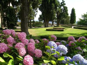 un jardín con flores rosas y moradas en un parque en HUB counter CITY, en Borgofranco dʼIvrea
