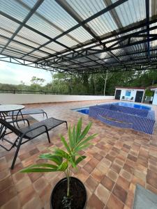 a patio with a pool and a table and a plant at Hotel Los Cielos Del Caribe in Cahuita