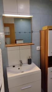 a bathroom with a sink and a mirror at Sklípek v Agátí in Drnholec