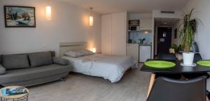 ein Schlafzimmer mit einem Bett, einem Sofa und einem Tisch in der Unterkunft Family Saint Vincent 4 pers gare lourdes wifi in Lourdes