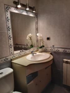 uma casa de banho com um lavatório, um espelho e um WC. em Sellamante2 em Ribadesella