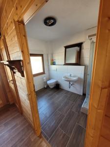 a bathroom with a toilet and a sink at Ferienbutze in Molbergen