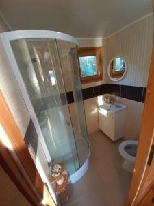 a bathroom with a shower and a toilet at KaSper River House in Ledine +47 photos