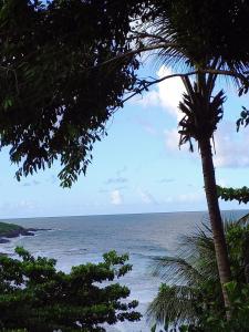 einen Strand mit einer Palme und dem Meer in der Unterkunft Chalé na Praia da Tiririca in Itacaré
