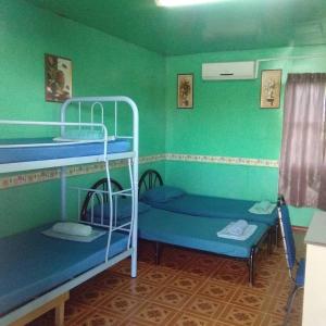 two bunk beds in a room with green walls at Taun Gusi Village Homestay in Kota Belud