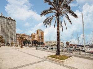 palma na placu obok przystani w obiekcie Apartment in Cagliari near Central Station w Cagliari