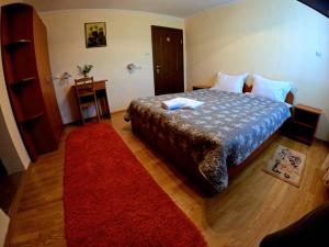 een slaapkamer met een bed en een rood tapijt bij Casa Carol in Tăşnad