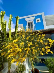 Un mazzo di fiori gialli davanti a una casa blu di La Ginestra a Panarea