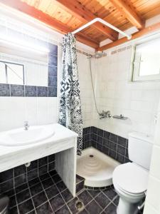 a bathroom with a sink and a toilet and a tub at Haris apartments in Koukounaries