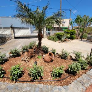 Zahrada ubytování Paradisos Villa - Chania, Crete + 37 fotografií