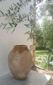 Zahrada ubytování Koroni Stone House, newly built studios by the sea