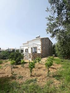 Zahrada ubytování Koroni Stone House, newly built studios by the sea
