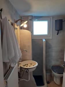 łazienka z umywalką, toaletą i oknem w obiekcie Flower house w mieście Pitrofós