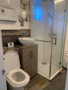 a bathroom with a toilet and a sink and a shower at The Courtyard in Wells