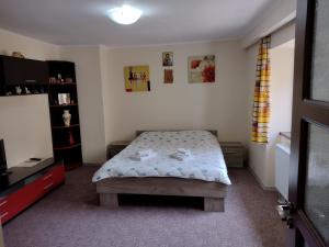 a bedroom with a bed and a tv in it at Mario's Cozy Apartment in Râşnov