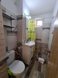 La salle de bains est pourvue de toilettes et d'un lavabo. dans l'établissement Sibiu My Home, à Sibiu