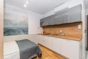 Kuchyňa alebo kuchynka v ubytovaní APARTAMENTY MIERZEJA - STEGNA PARK STUDIO, 500 m od plaży
