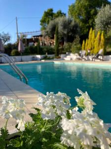 Piscina en o cerca de Porturama